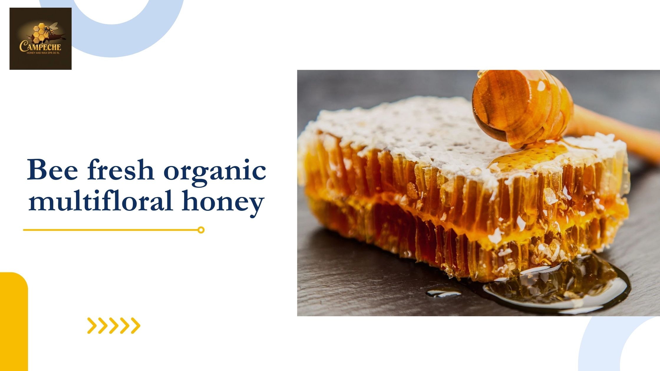 Why Fitness Enthusiasts Prefer Bee Fresh Organic Multiflora Honey