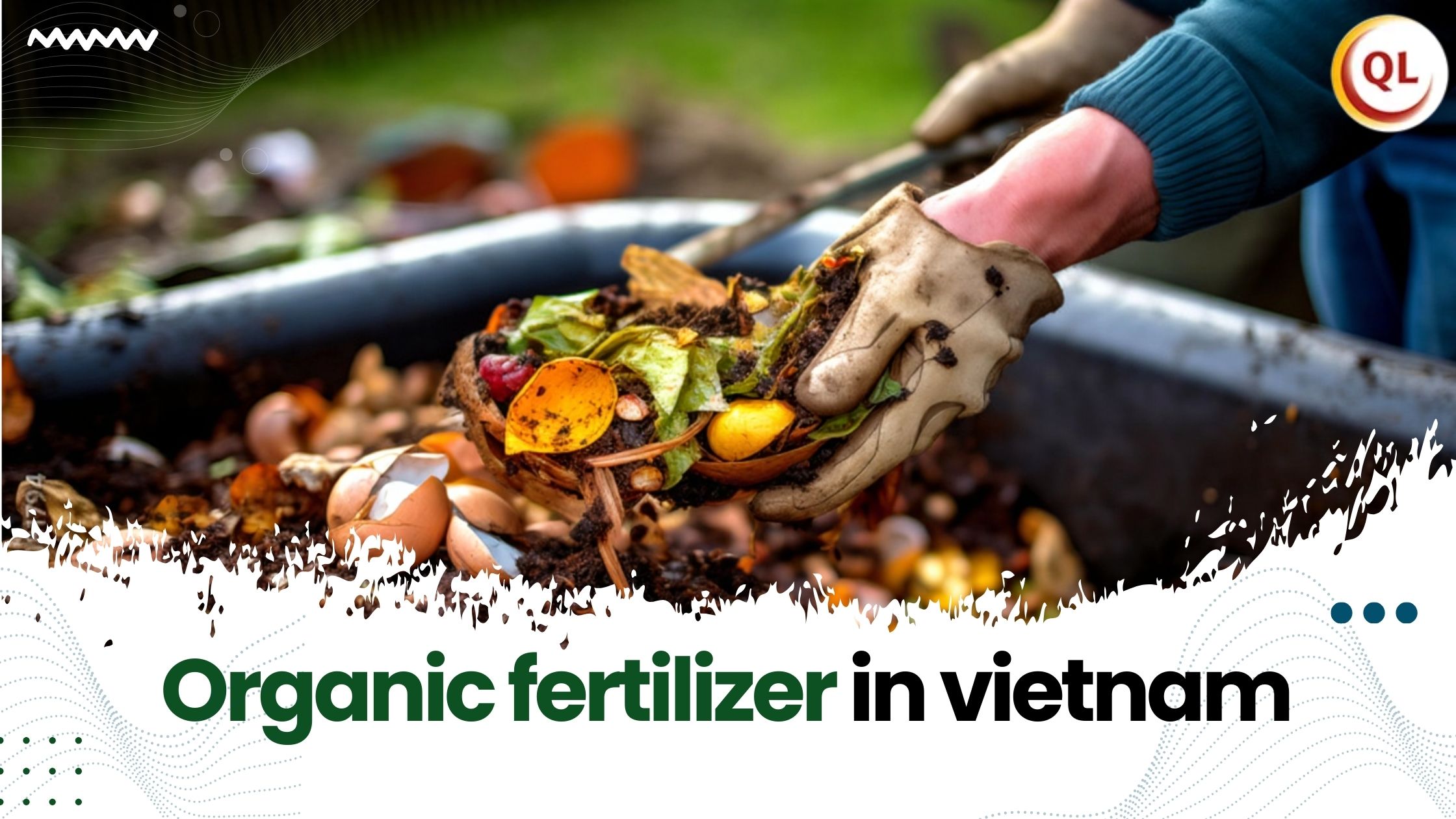 How Farmers Are Increasing Profitability with Organic Fertilizer in Vietnam