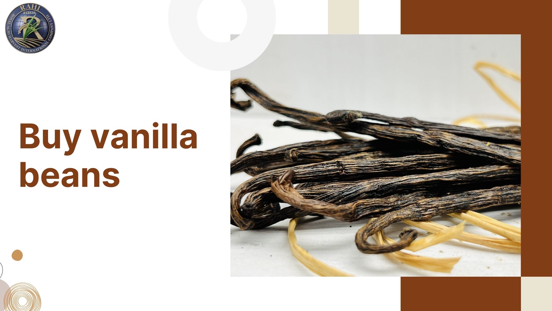Where to Buy Vanilla Beans That Deliver the Richest Aroma and Flavor